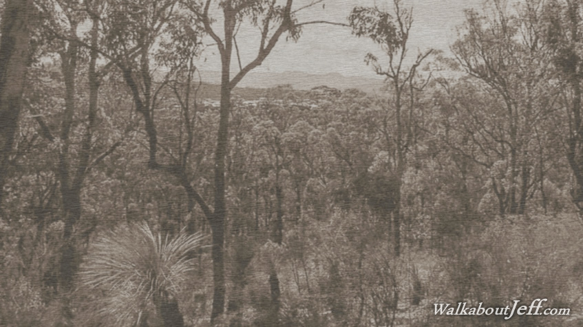 Chermside Hills outer circuit