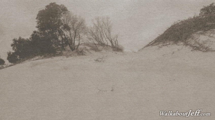 The sand hills 