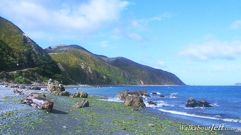 Eastern Wellington Harbour