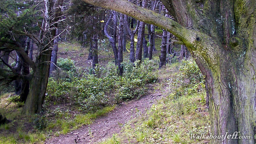 Where hobbits once dwelled