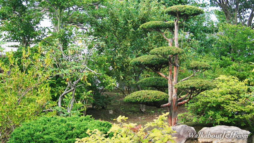 Japanese garden