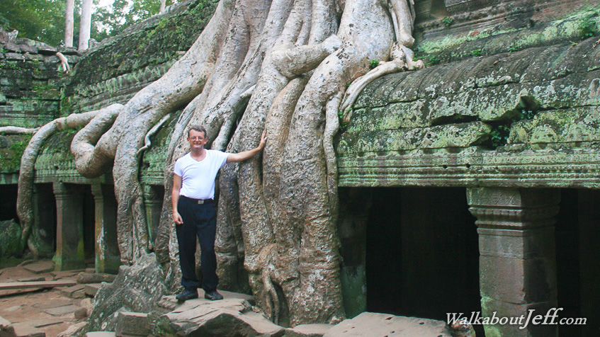 Ruins in the jungle