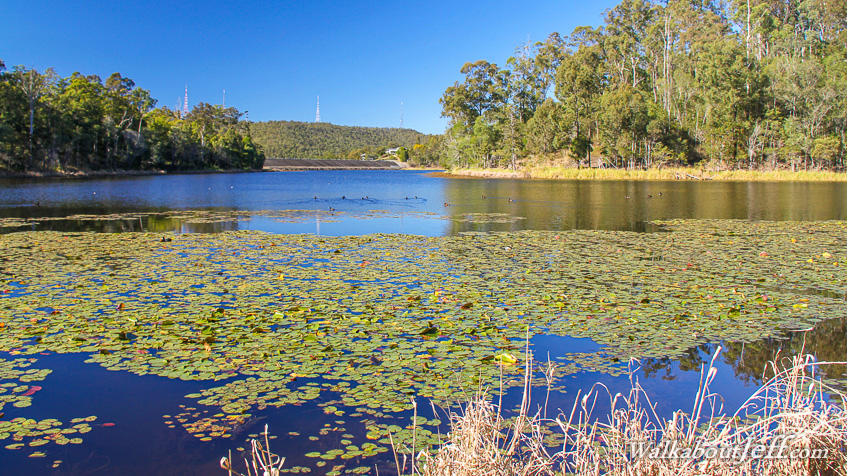 Enoggera Reservoir