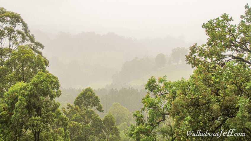 Mist of the Border Ranges