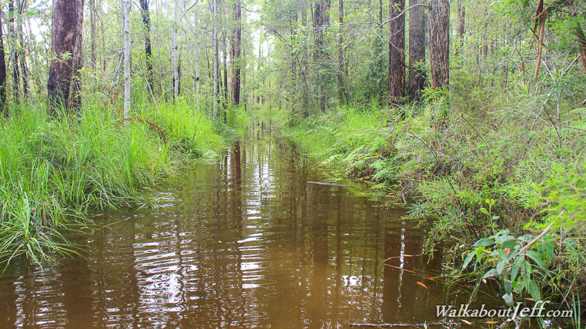 Flooded trail