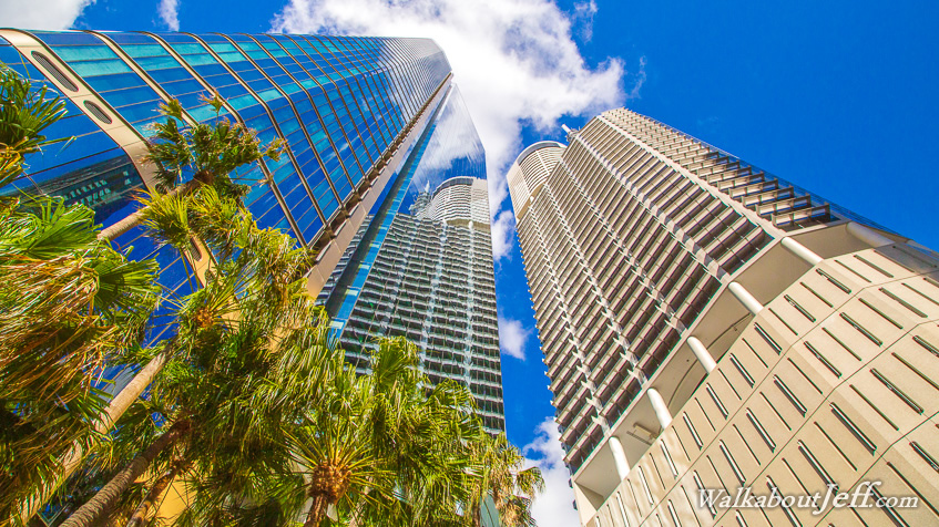 Reaching for the clouds