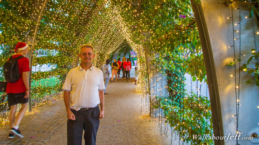 Bougainvillea Walk Christmas lights