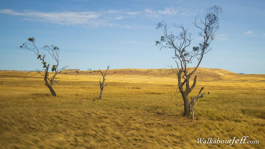 Hobart to Devonport 