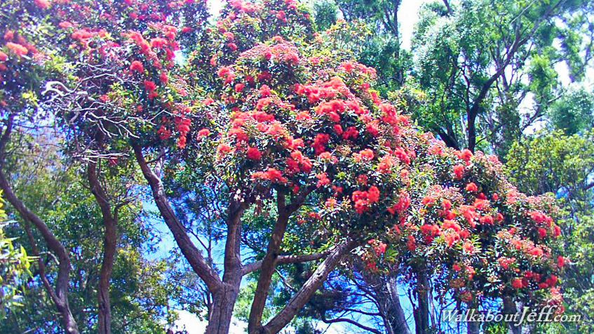 Whanganui and New Plymouth