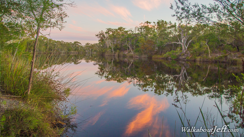 Day 29 - Litoria to Dutgee 