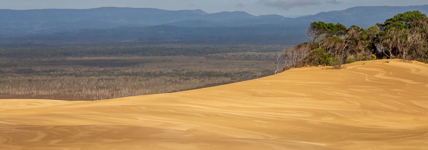 5th leg - Cooloola Sandmass