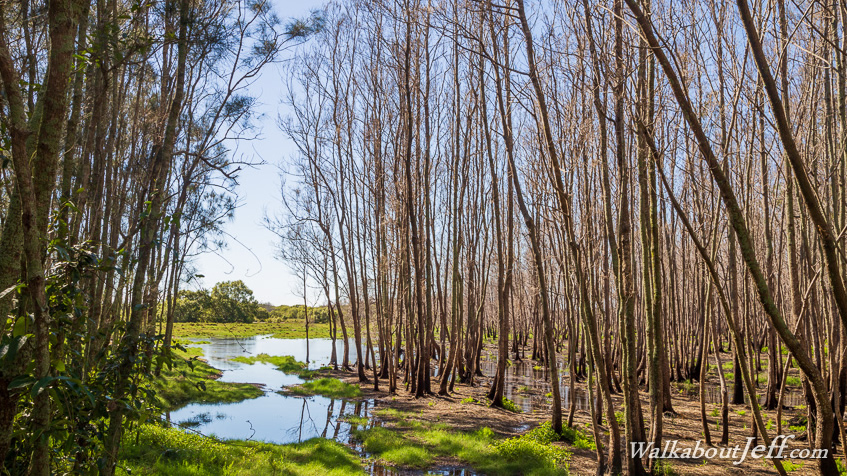 Day 45 - Shorncliffe to Doomben