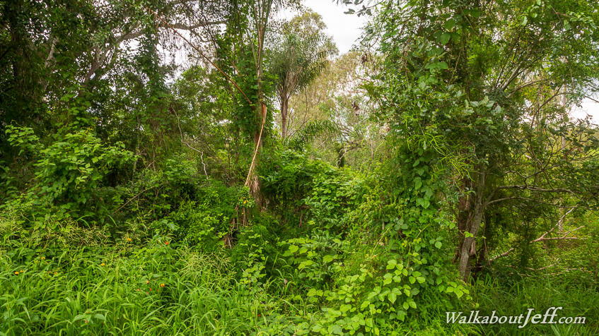 Day 48 - Pullenvale to Lake Manchester 