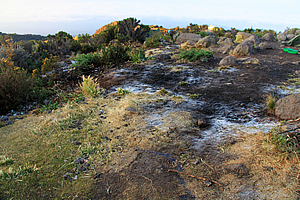 Hard frost at Horombo